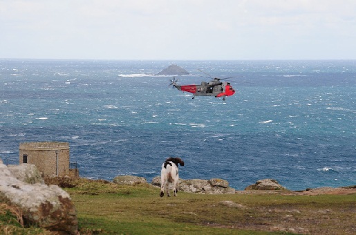 Urlaub mit Hund in Cornwall