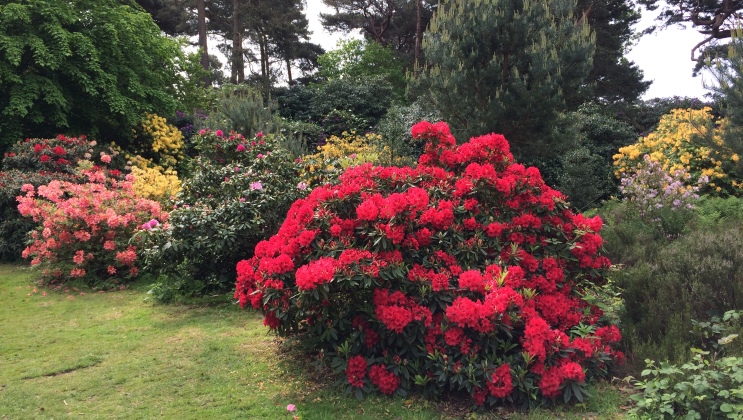 sheringham park norfolk