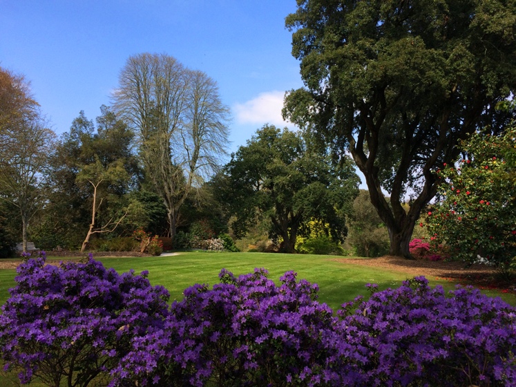 Englands beste Gärten, die es im Frühling Trelissick Cornwall