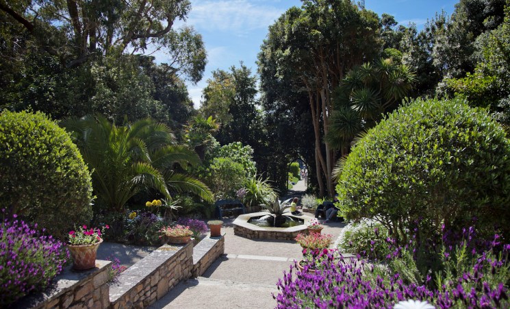 Südenglands beste Sommergärten Tresco Abbey Garten