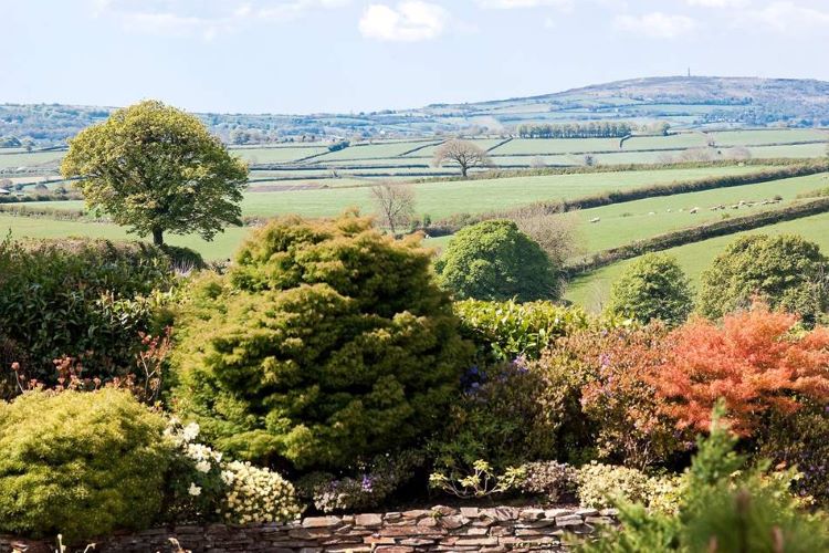 tavistock devon urlaub