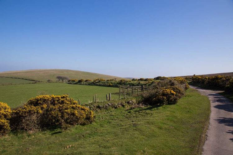 umberleigh urlaub devon