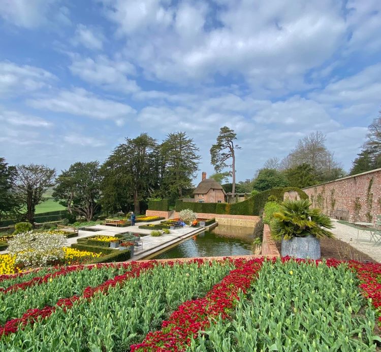 newt somerset_fruehling