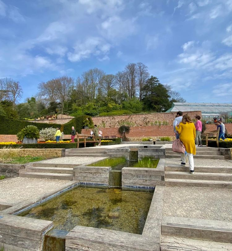 wasser garten newt somerset