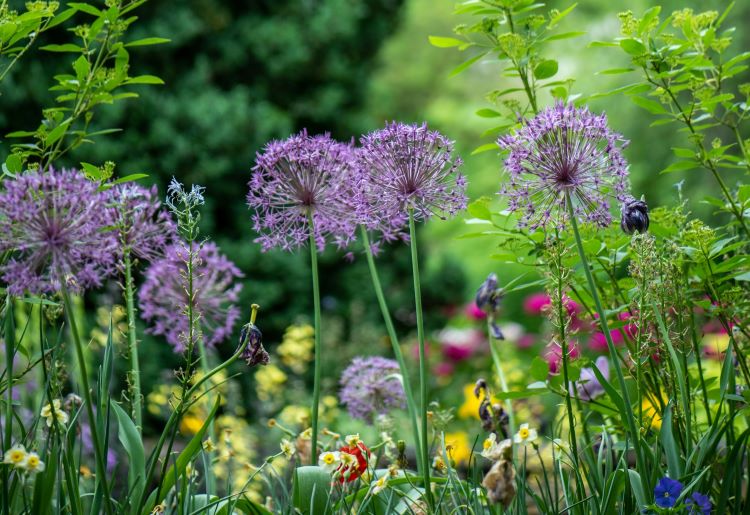 Bristol-Botanic-Garden-Bristol